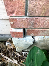 Missing chunk at the base of a brick wall creating a ground-level pest entry point